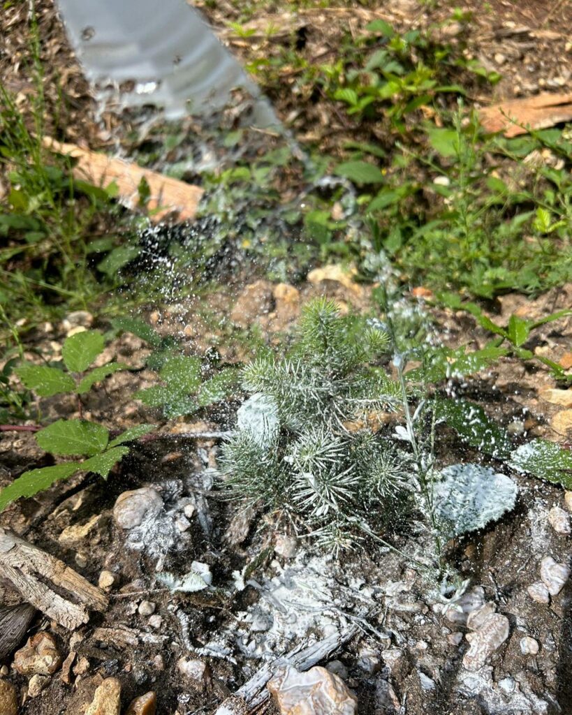 Guillier Reboisement - Travaux du sol