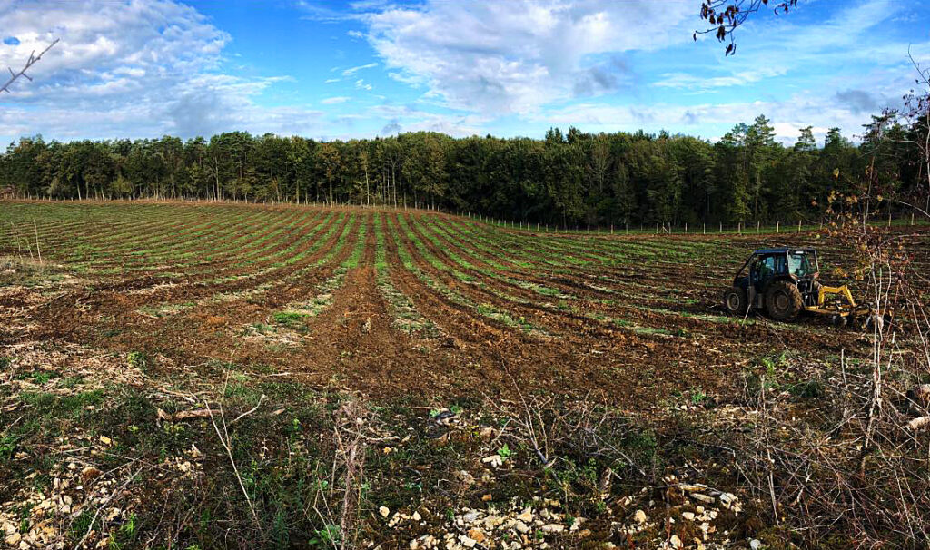 Vous avez un projet
de reboisement ? - Guillier