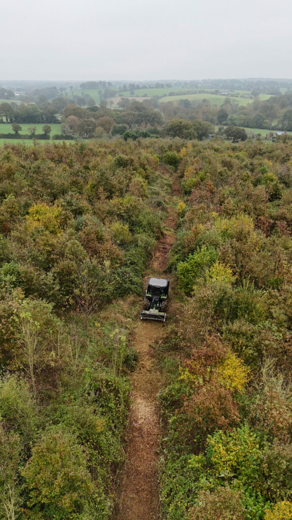 Broyage - Guillier Reboisement