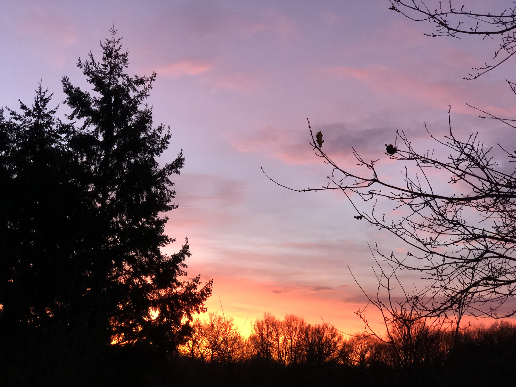 Carouselle - Guillier Reboisement