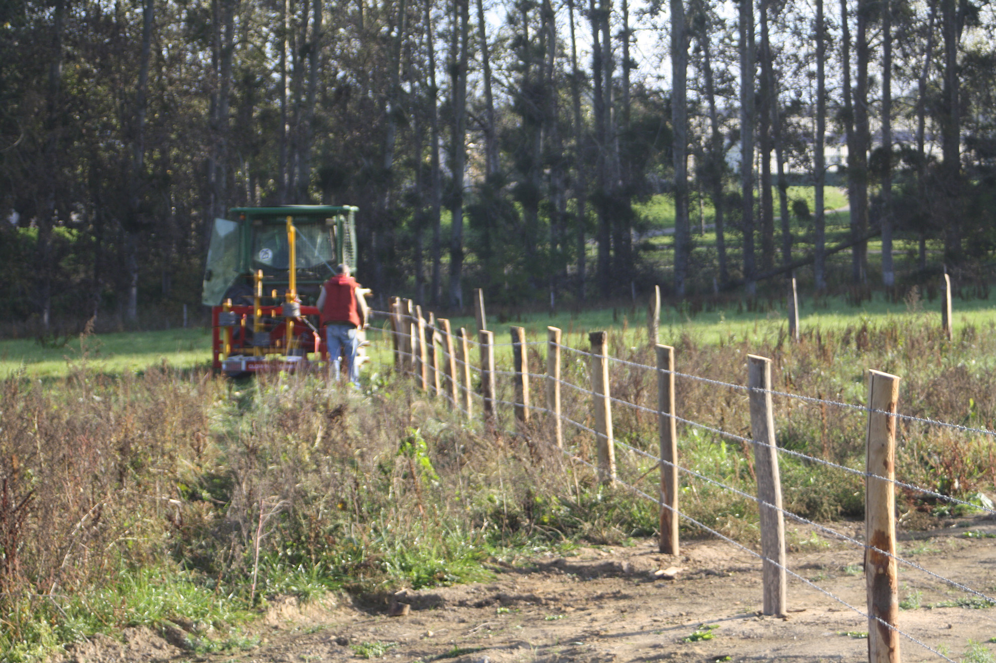 Guillier Reboisement : Experts en travaux forestiers