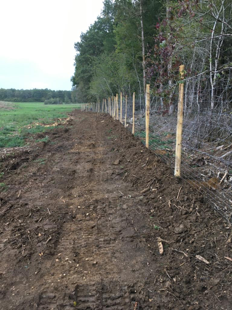Clôture forestière - Guillier Reboisement