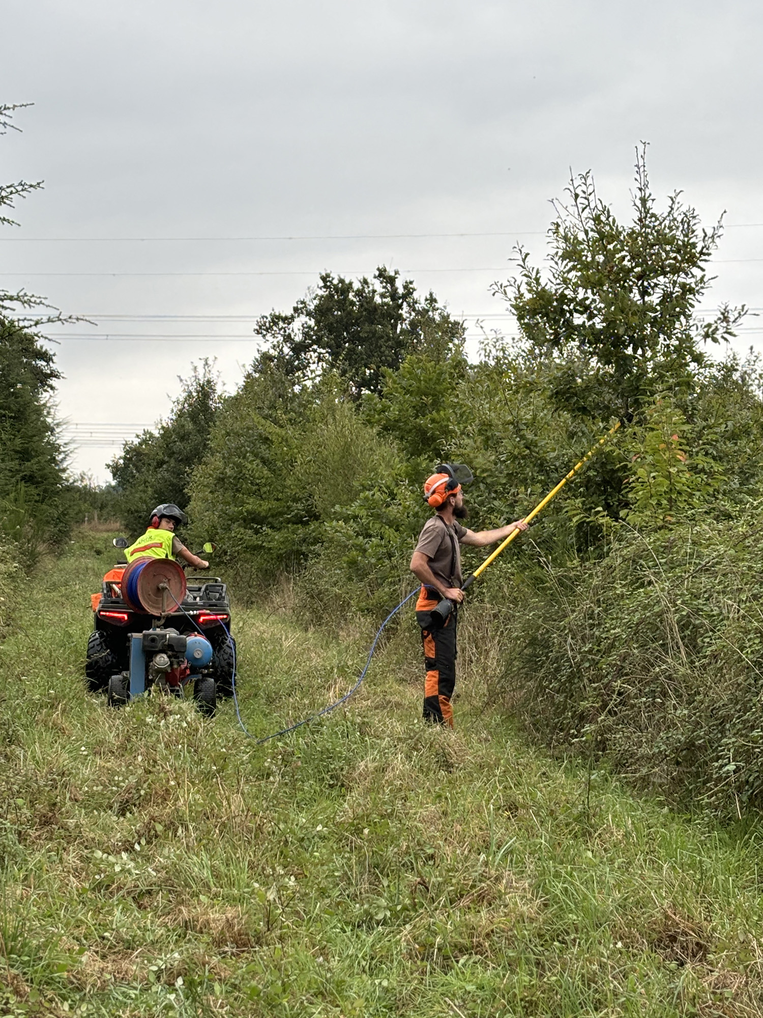 Élagage - Guillier Reboisement