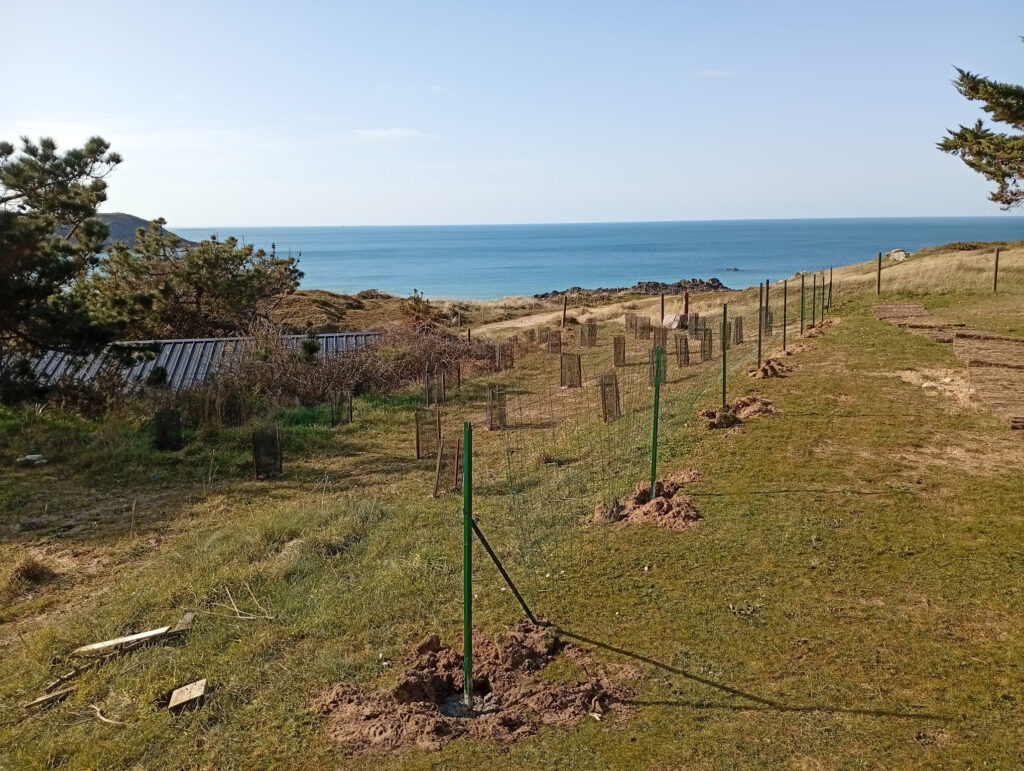 Plantation clôture - Guillier Reboisement