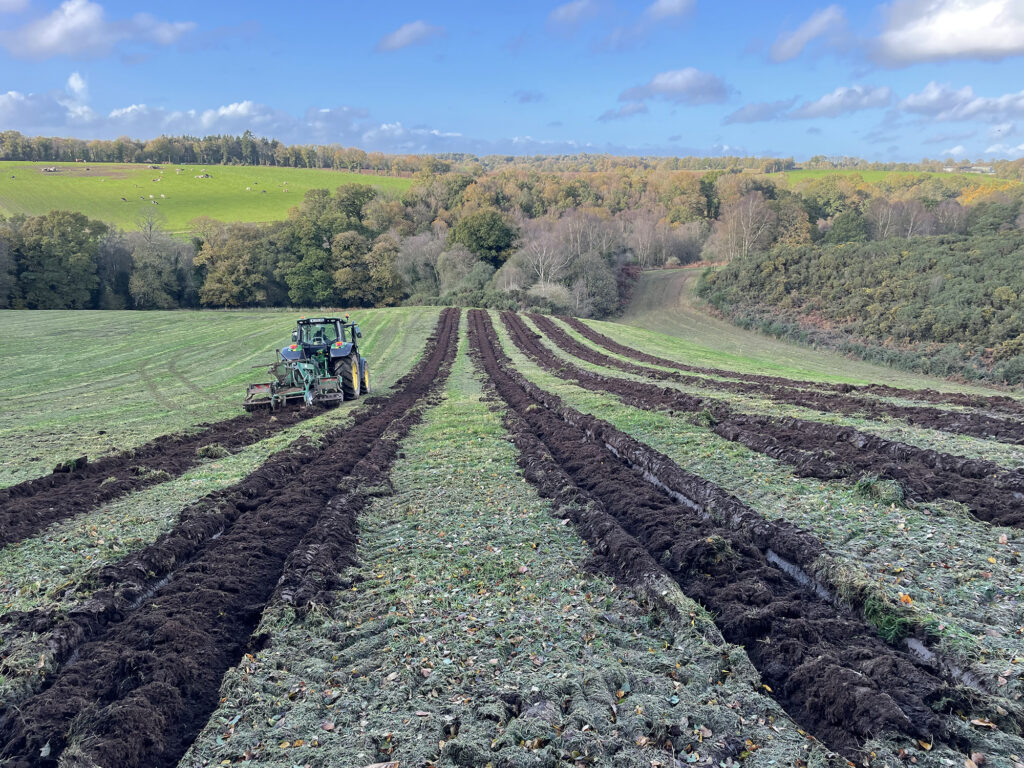 TS Boisement - Guillier Reboisement