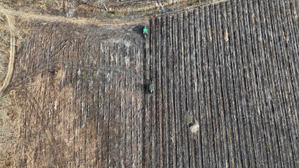 Travaux du sol et Reboisement - Guillier Reboisement