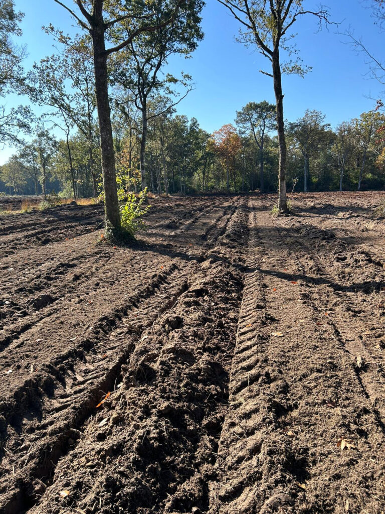 TS Reboisement - Guillier Reboisement