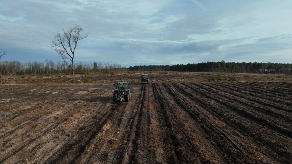 TS Boisement - Guillier Reboisement