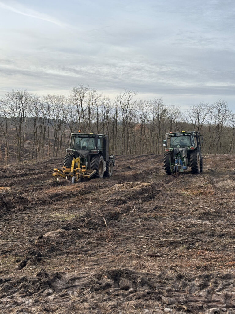 TS Boisement - Guillier Reboisement