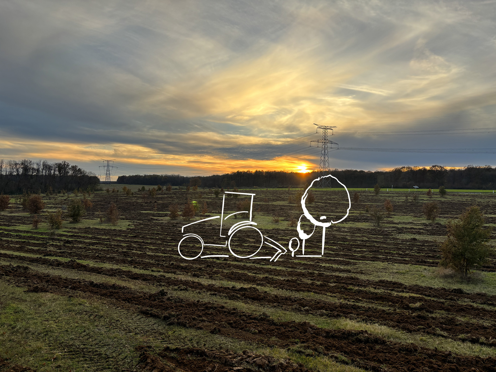 Guillier Reboisement - Pour vos travaux forestiers dans le Grand Ouest